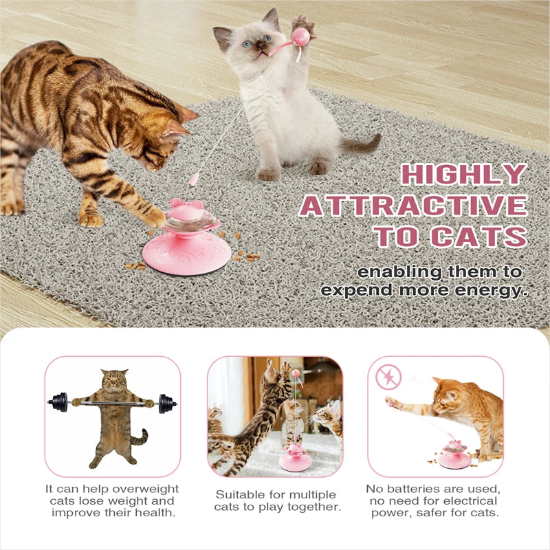 Interactive Cat Teaser Wand with Suction Cup