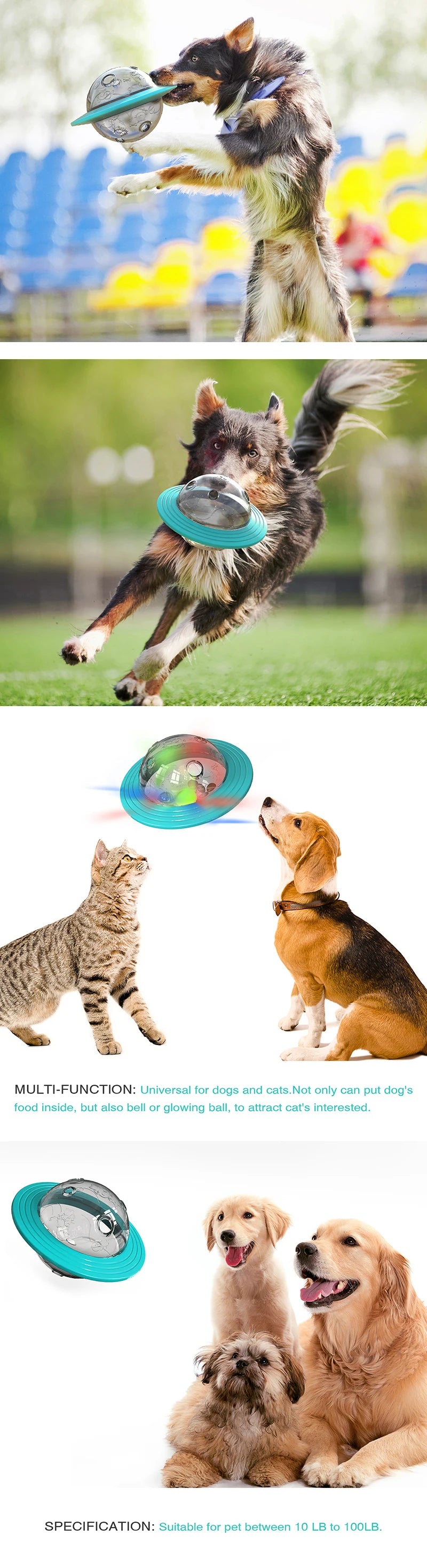Interactive Dog Flying Disc & Slow Feeder Toy