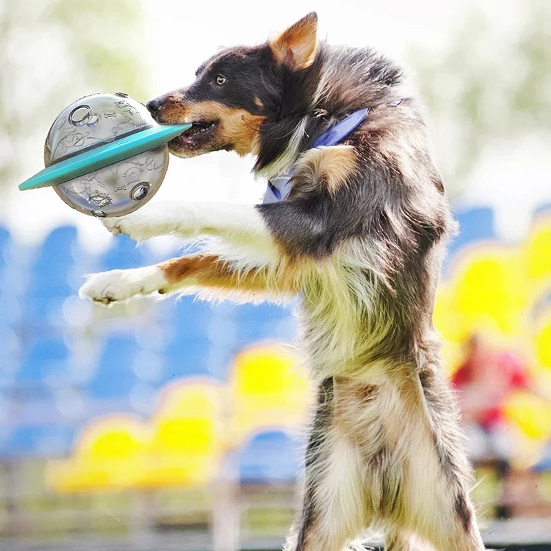 Interactive Dog Flying Disc & Slow Feeder Toy