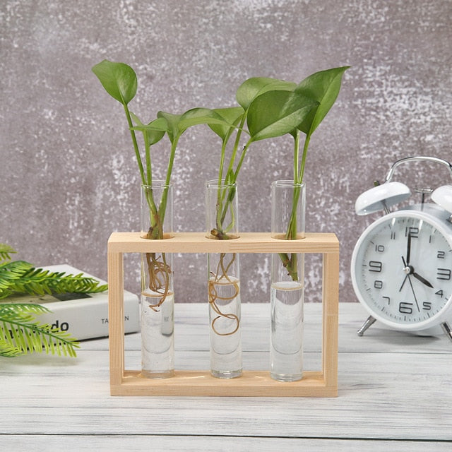 Glass And Wood Vase Terrarium