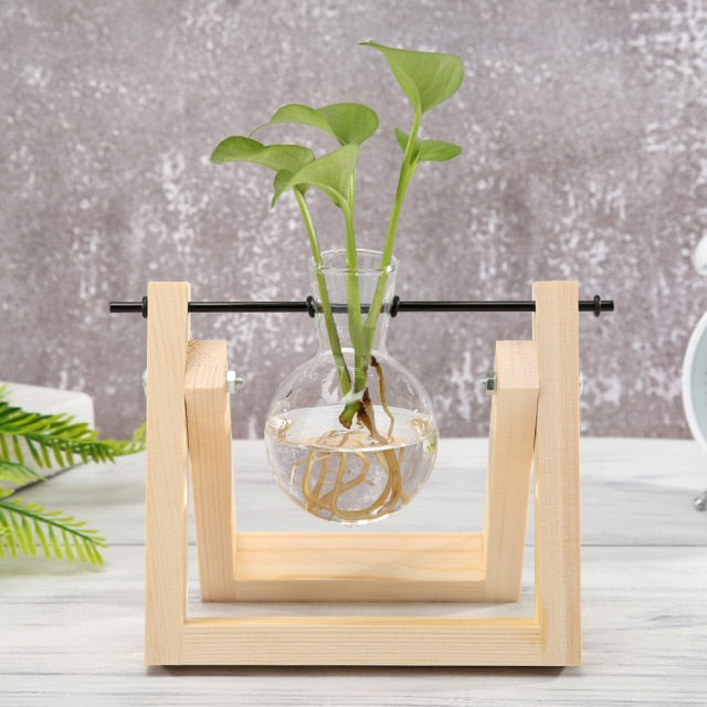 Glass And Wood Vase Terrarium