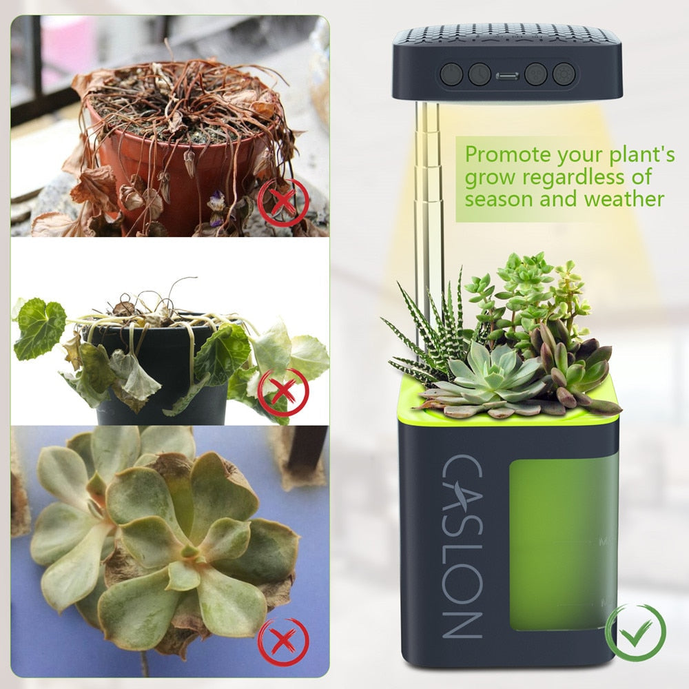 Indoor Desk Plant Grow Lamp UV Light