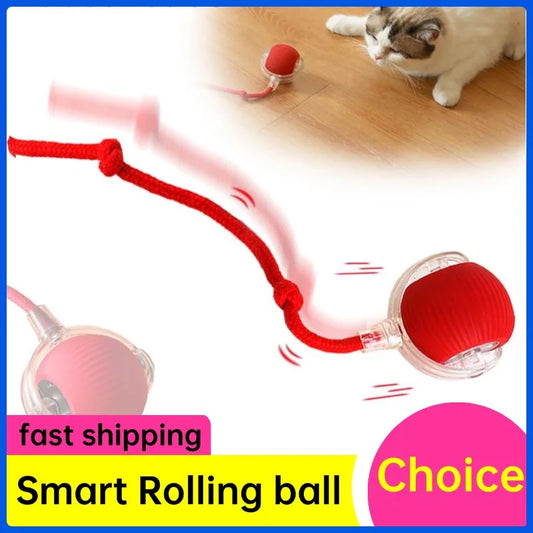 Interactive Cat Rolling Ball Toy