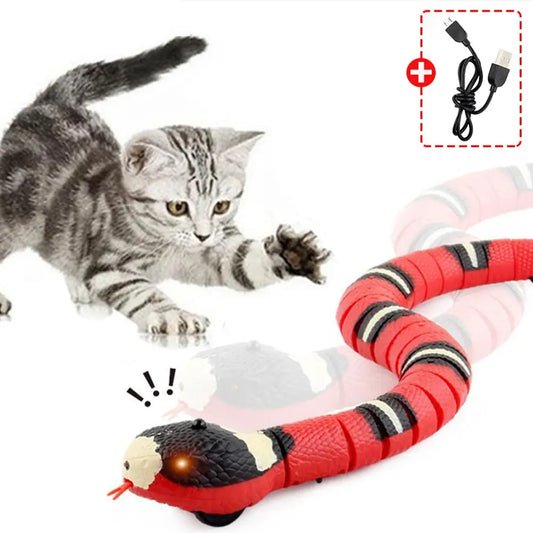 Interactive USB Rechargeable Snake Cat Teaser Toy