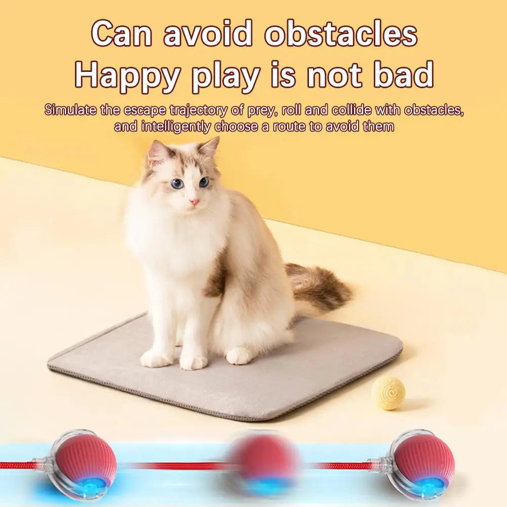 Interactive Cat Rolling Ball Toy