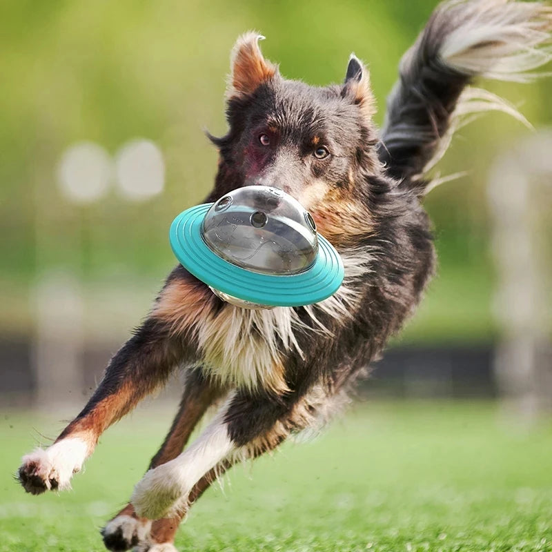 Interactive Dog Flying Disc & Slow Feeder Toy