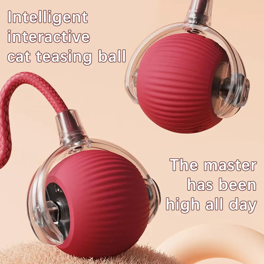 Interactive Cat Rolling Ball Toy