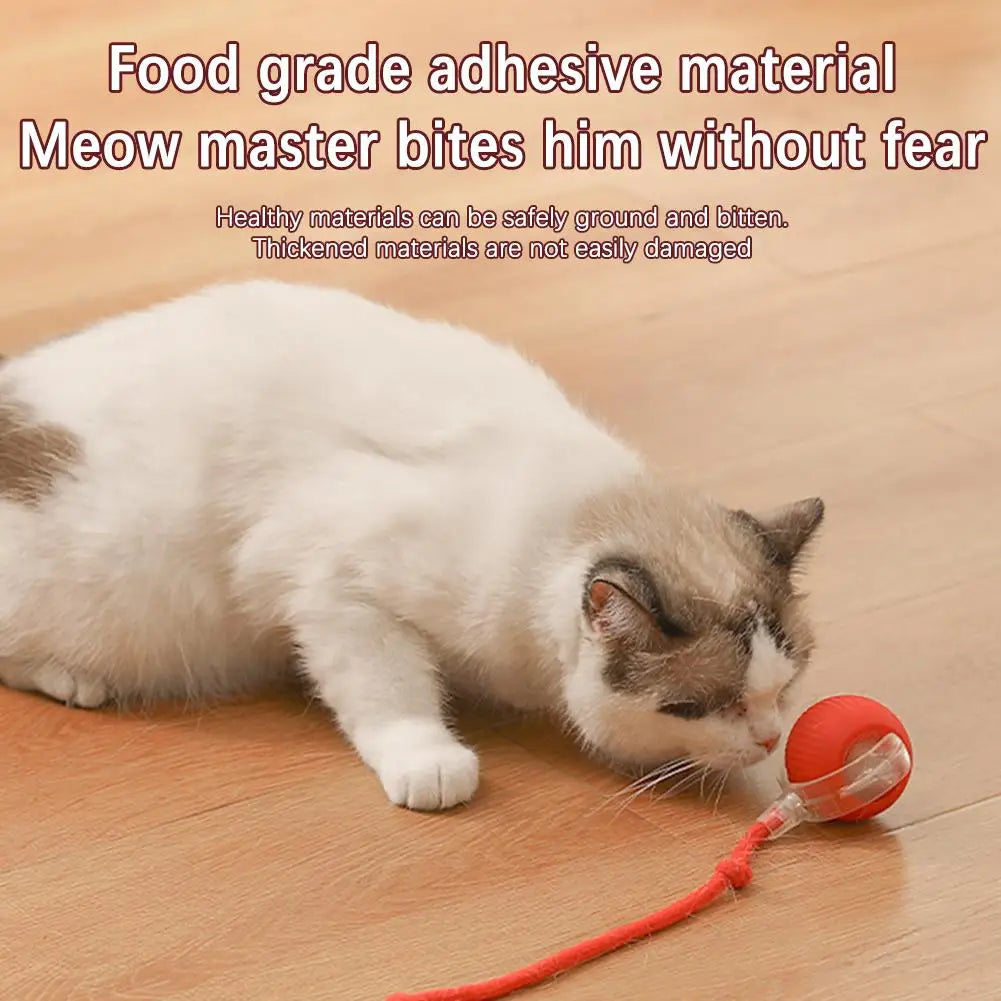 Interactive Cat Rolling Ball Toy