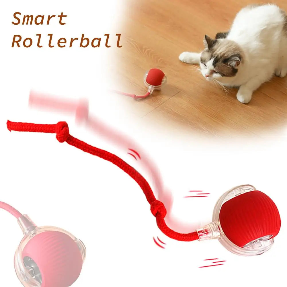 Interactive Cat Rolling Ball Toy