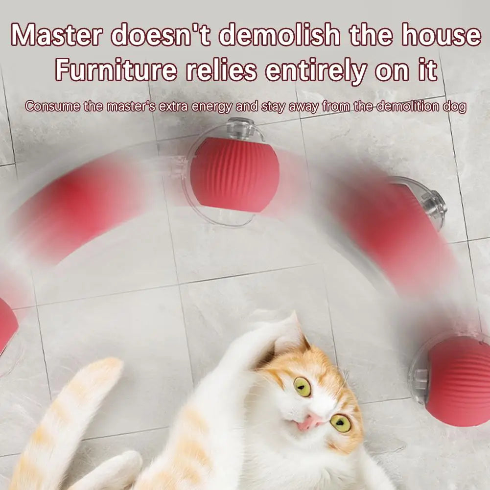 Interactive Cat Rolling Ball Toy