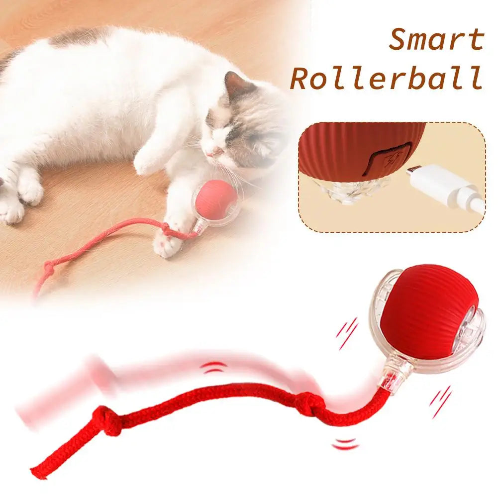 Interactive Cat Rolling Ball Toy