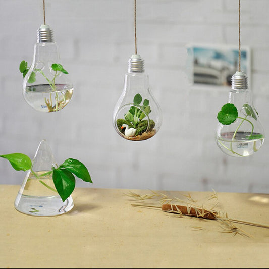 Hanging Lamp Hydroponic plants Glass Vase