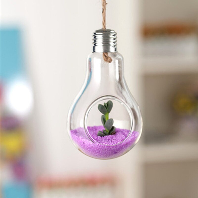 Hanging Lamp Hydroponic plants Glass Vase