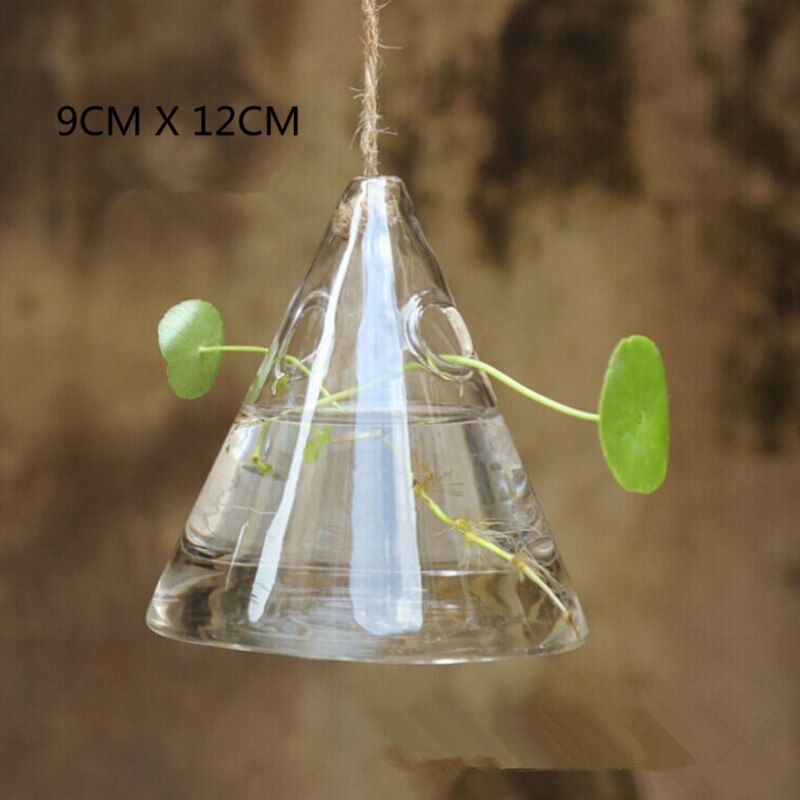 Hanging Lamp Hydroponic plants Glass Vase