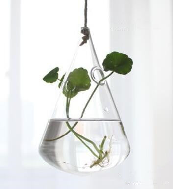 Hanging Lamp Hydroponic plants Glass Vase