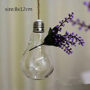 Hanging Lamp Hydroponic plants Glass Vase