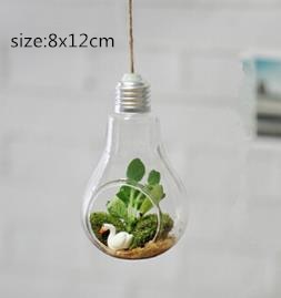 Hanging Lamp Hydroponic plants Glass Vase