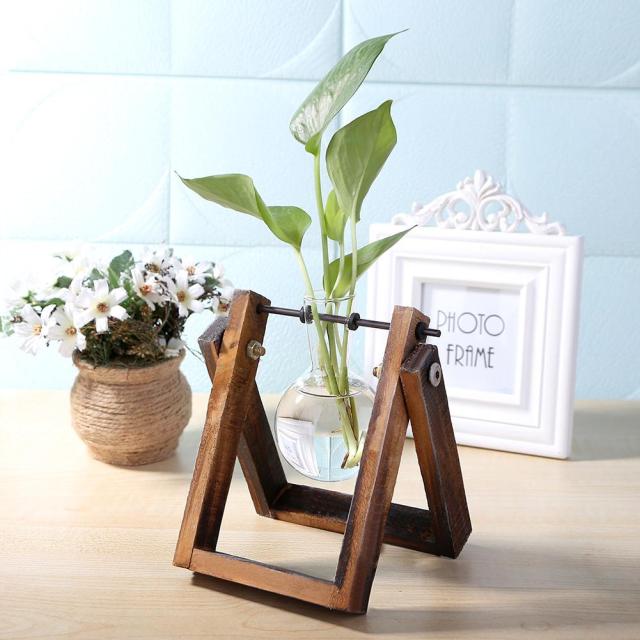 Glass And Wood Vase Terrarium