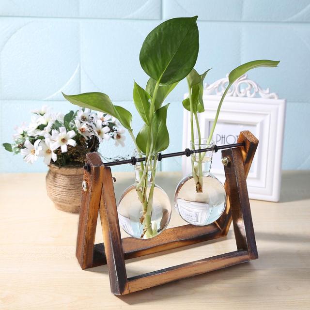 Glass And Wood Vase Terrarium