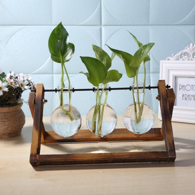 Glass And Wood Vase Terrarium