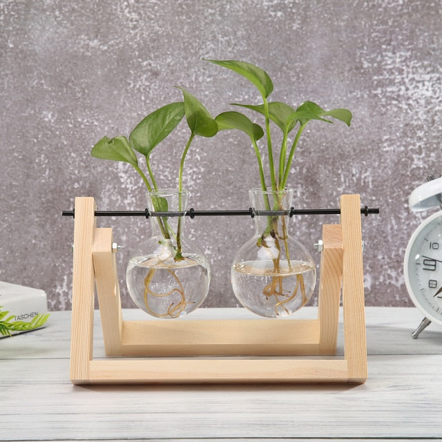 Glass And Wood Vase Terrarium