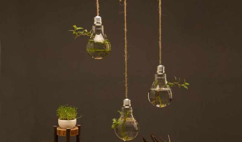 Hanging Lamp Hydroponic plants Glass Vase