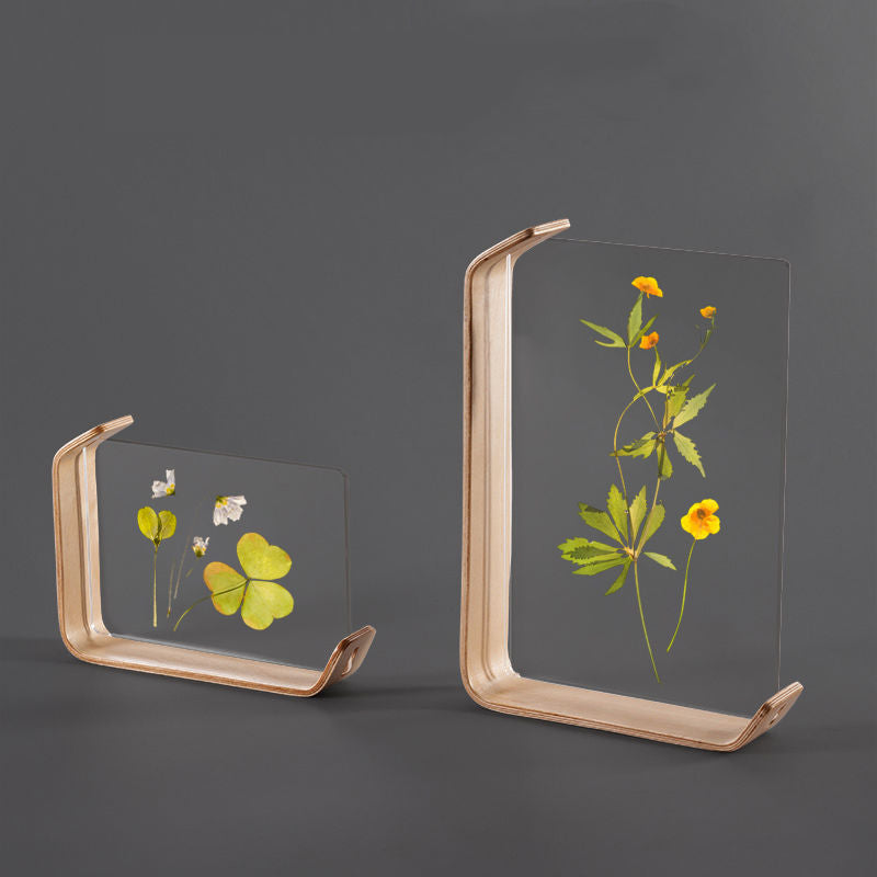 Plant Specimen Acrylic Wooden Photo Frame